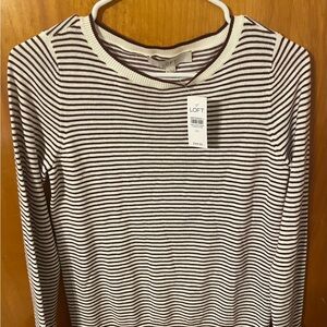 LOFT Brown and White Striped Top